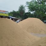 হরিপুর যাদুরাণী বাজারে ধানের বাজার চাঙ্গা