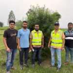 কুড়িগ্রামে মরিচ ক্ষেতে গাঁজার চাষ, ১০ ফুট উচ্চতার গাঁজা গাছ জব্দ