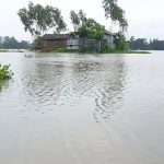 বন্যার পানি কমলেও কুড়িগ্রামে শেষ হয়নি দুর্ভোগ, কৃষকের ৫০০ হেক্টর ফসল ক্ষতিগ্রস্ত