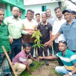 বিএনপি নেতা আবু সাঈদের ব্যতিক্রমী উদ্যোগ, বিদ্যালয়ে বিদ্যালয়ে বৃক্ষরোপণ ও ফুটবল বিতরণ